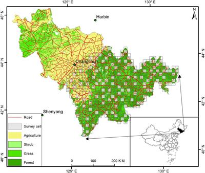 Spatial Distribution and Conservation Strategies of Large Carnivores in Human-Dominated Landscape: A Case Study of Asiatic Black Bear in Jilin, China